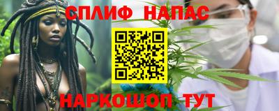 ешки Гагарин