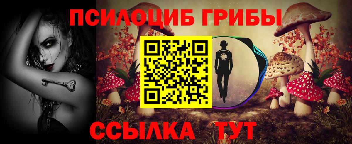 Псилоцибиновые грибы ЛСД Великие Луки